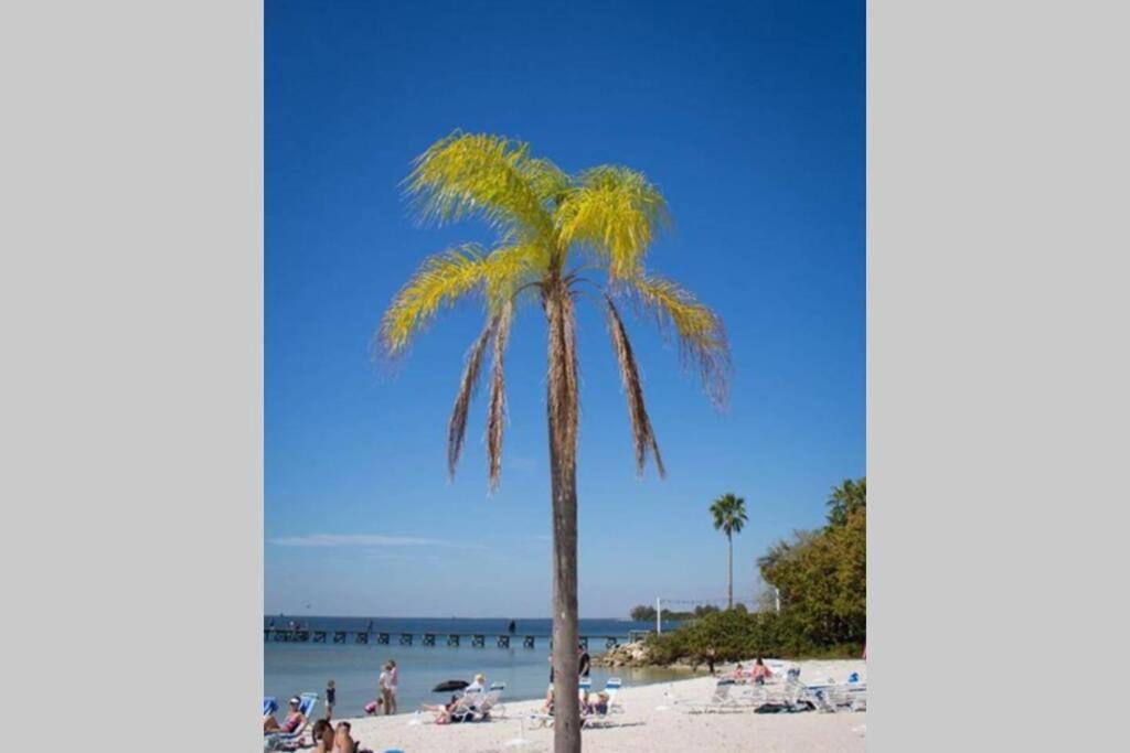 Bay View, Studio206, Beach Steps Away! Pool+Wifi Ruskin Exterior foto